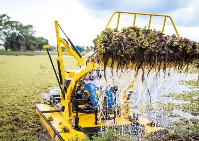 Affordable Pond Maintenance