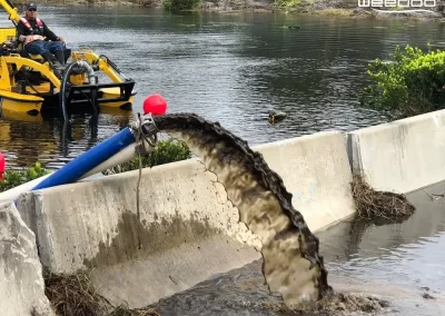 Professional Pond Company