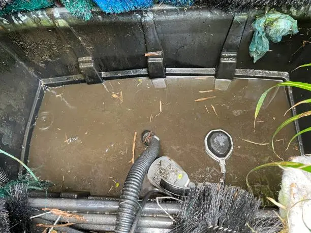 How to Clean Pond Filter Mandeville, LA