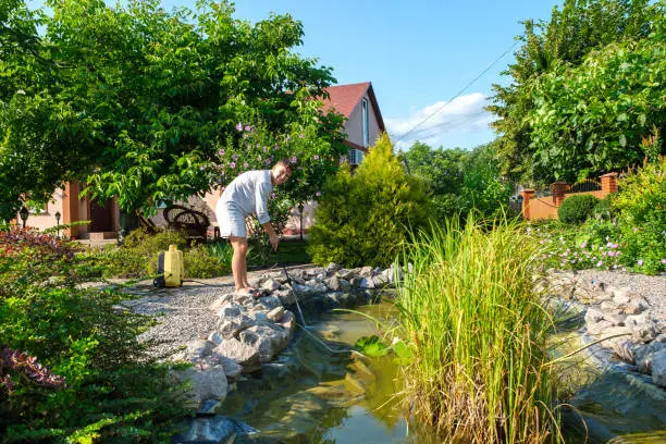 How to Clean a Pond Mandeville, LA
