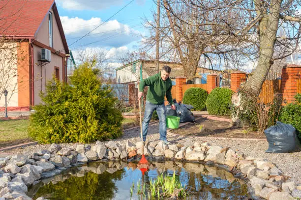 How to Clean a Pond in Mandeville, LA