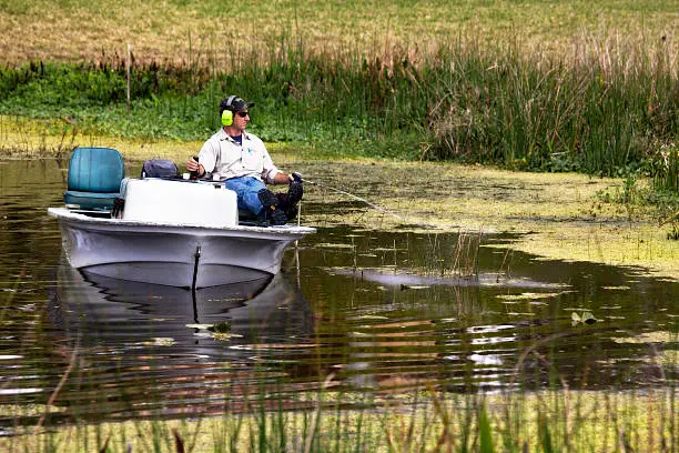 How to Control Algae in a Pond in Mandeville, LA How to Control Algae in a Pond in Mandeville, LA
