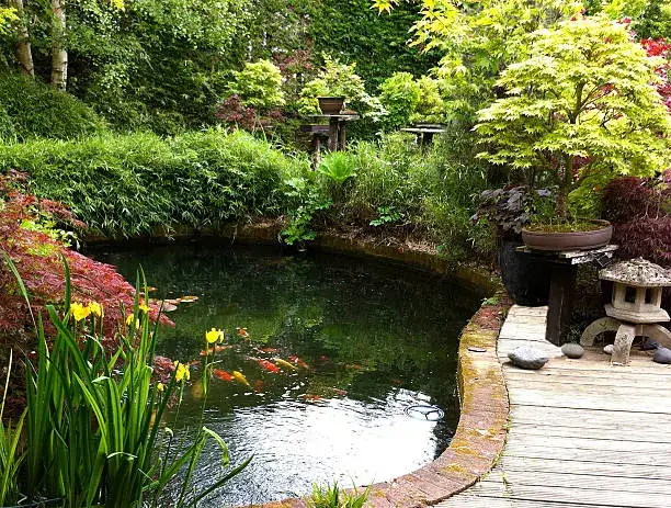 How to Keep Pond Water Clear Mandeville, LA