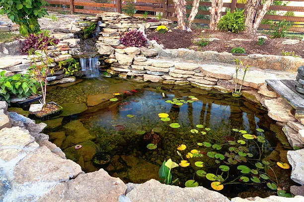How to Keep Pond Water Clear in Mandeville, LA