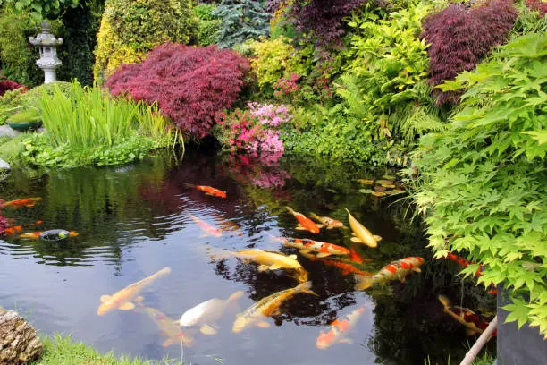 What Is a Pond in Mandeville, LA