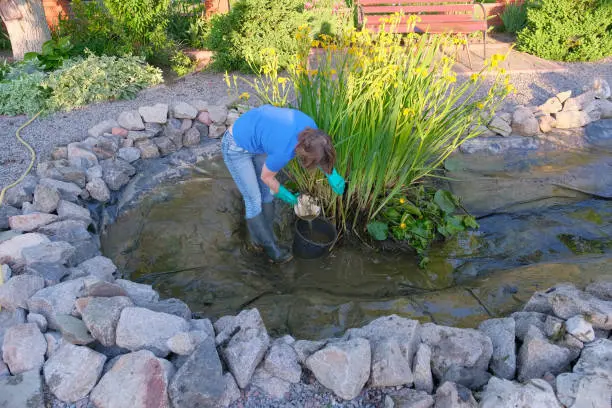 Pond Cleaning Service Mandeville, LA