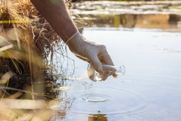Pond Management in Mandeville, LA