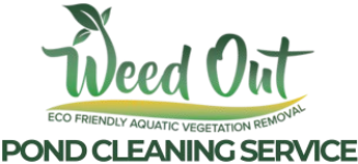 Pond Cleaning Service