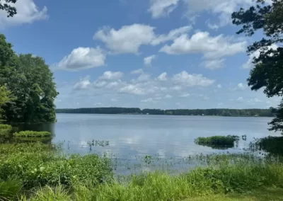 Dependable Pond Contractor