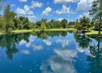 Expert Pond Contractor