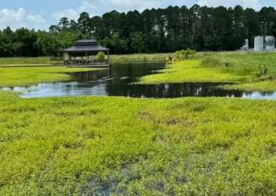Impeccable Pond Contractor