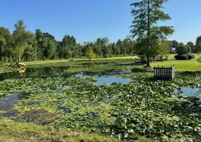 Trusted Pond Contractor